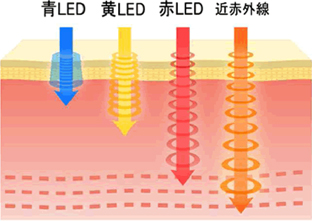 青LED 黄LED 赤LED 近赤外線